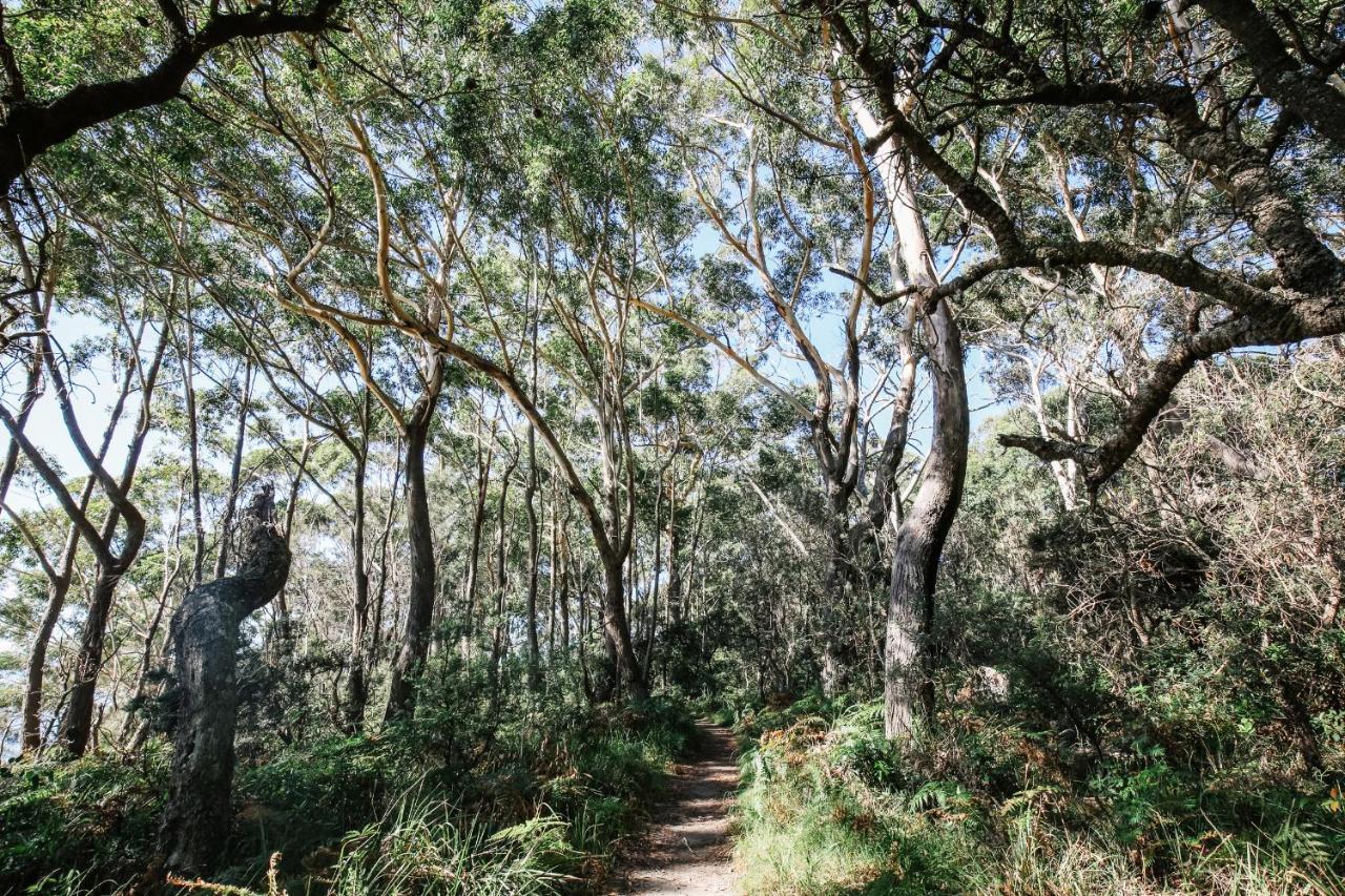 Paperbark Camp Woollamia Exterior foto