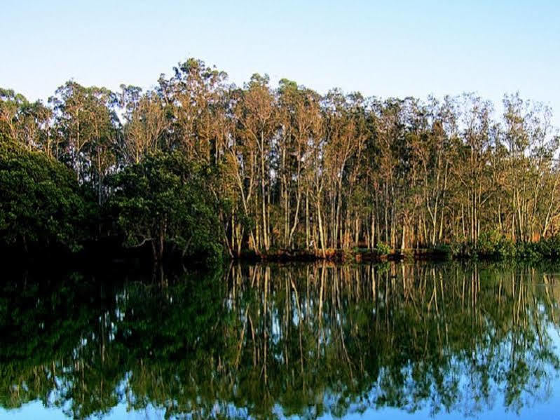 Paperbark Camp Woollamia Exterior foto
